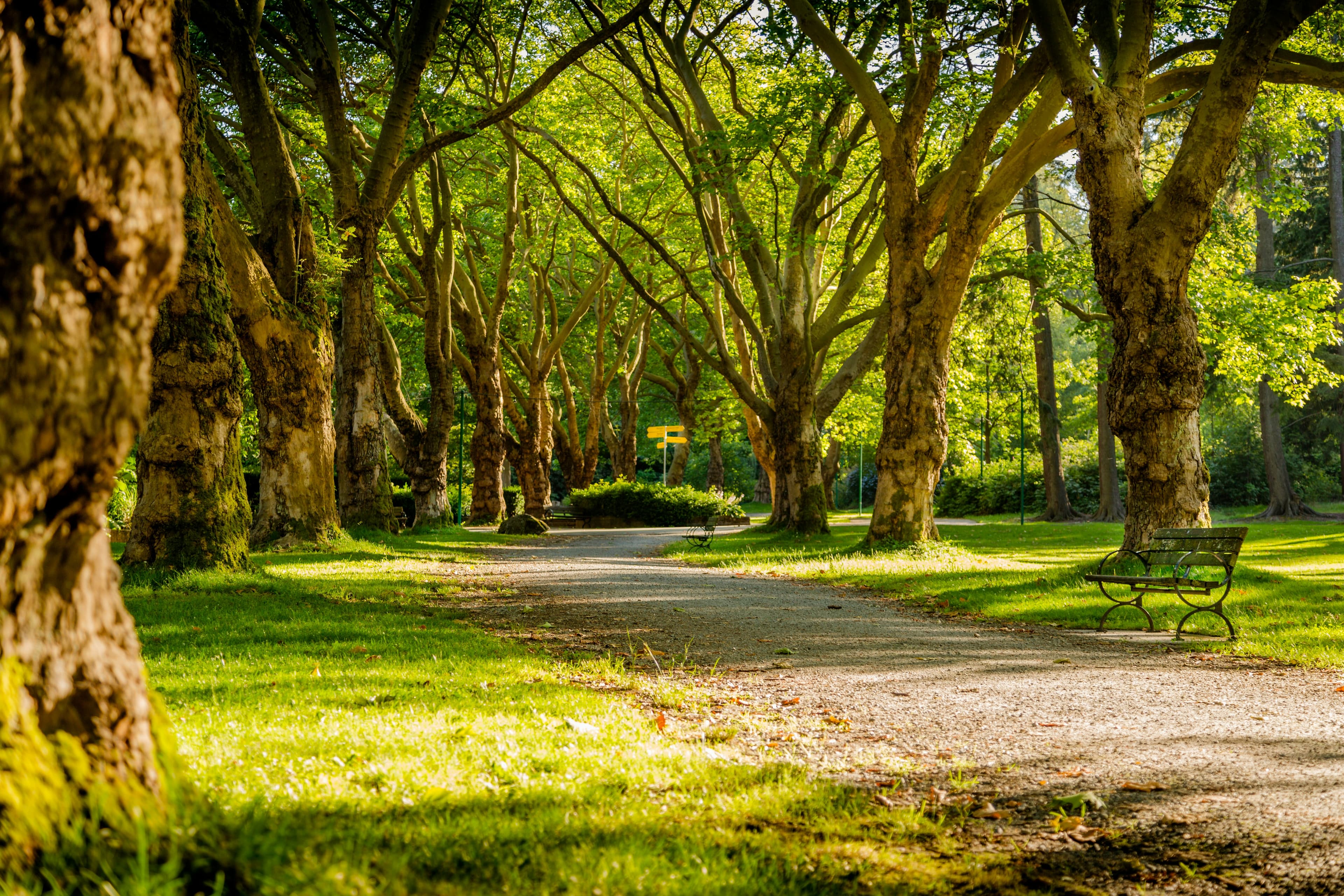 Scientia Park
