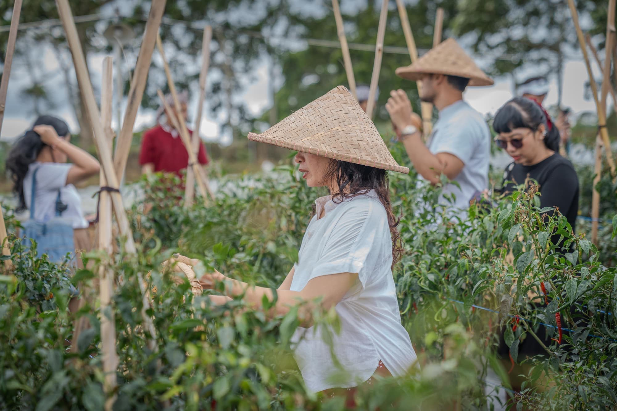Bertani Ka Kebon