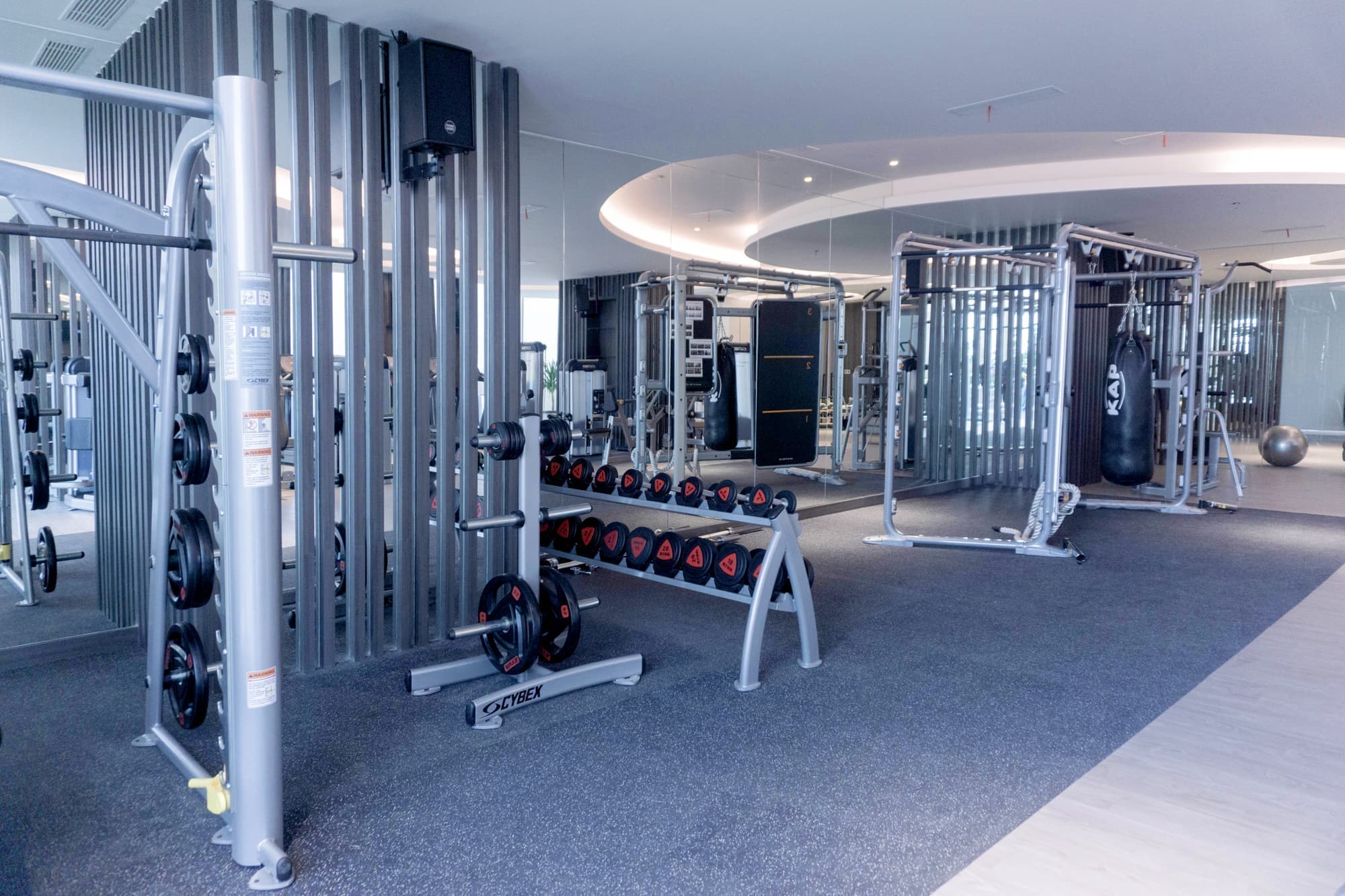 The Workout