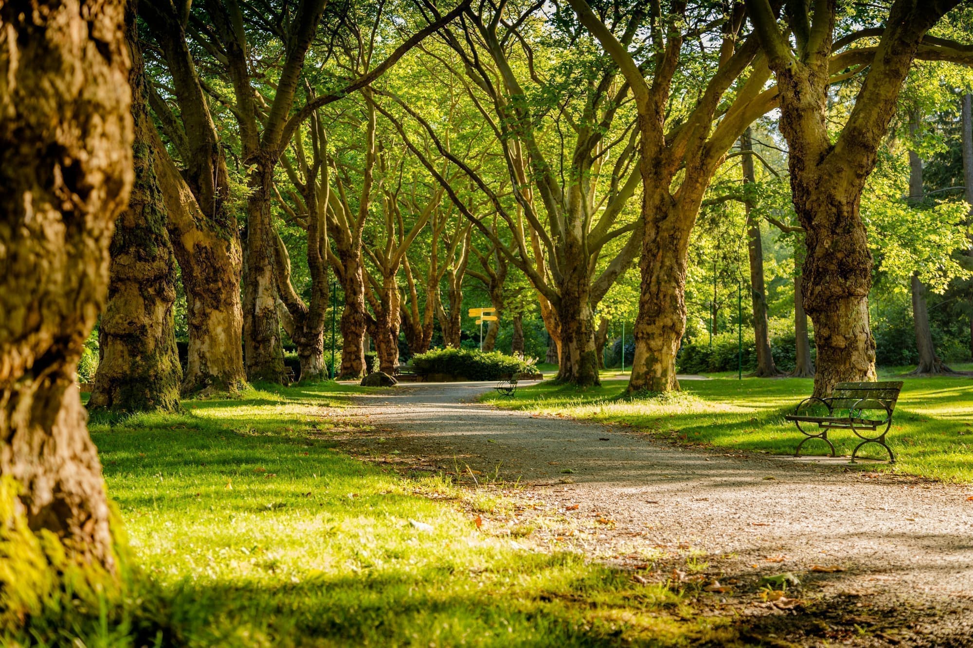 Scientia Park