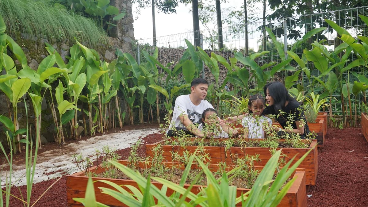 Organic Farm & Charity